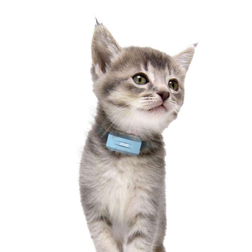 擁有專業(yè)寵物定位器幫助你解決寵物丟失問題